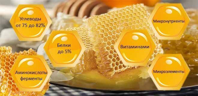Горный мед: польза, вред, применение в медицине и косметологии